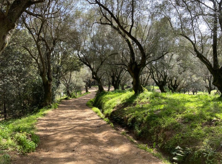 Domaine des Milelli, Ajaccio, France, France